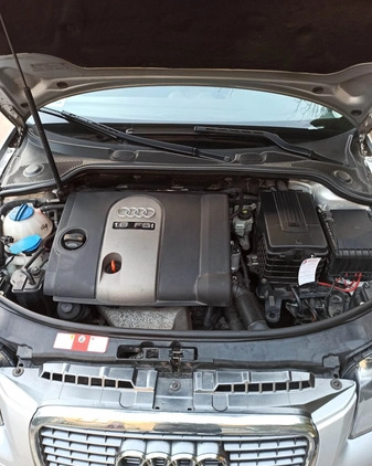Audi A3 cena 12500 przebieg: 247000, rok produkcji 2007 z Staszów małe 92